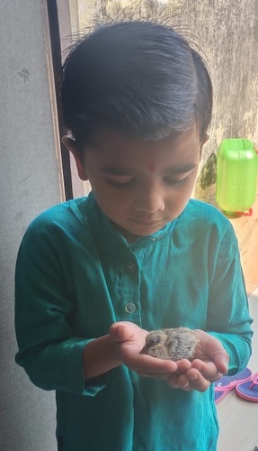 https://shradhanjali.com/images/not_found.jpg